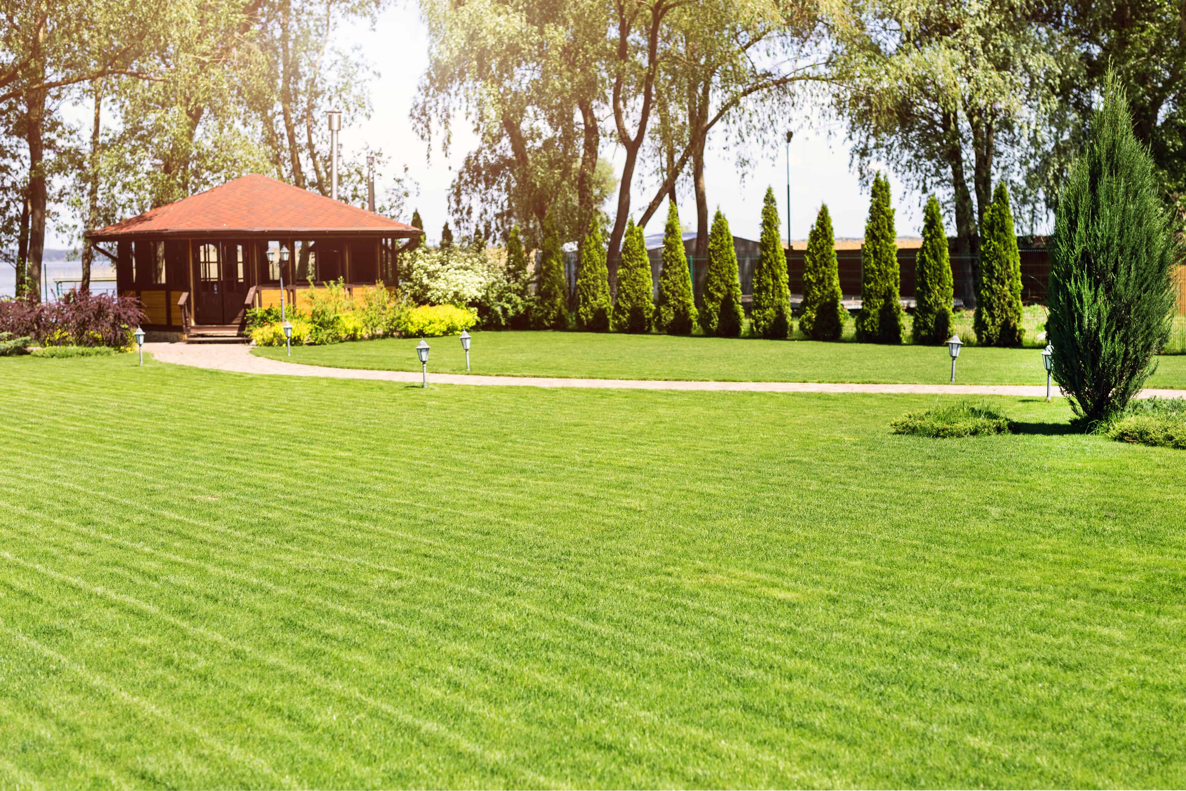  Lawn Maintenance image