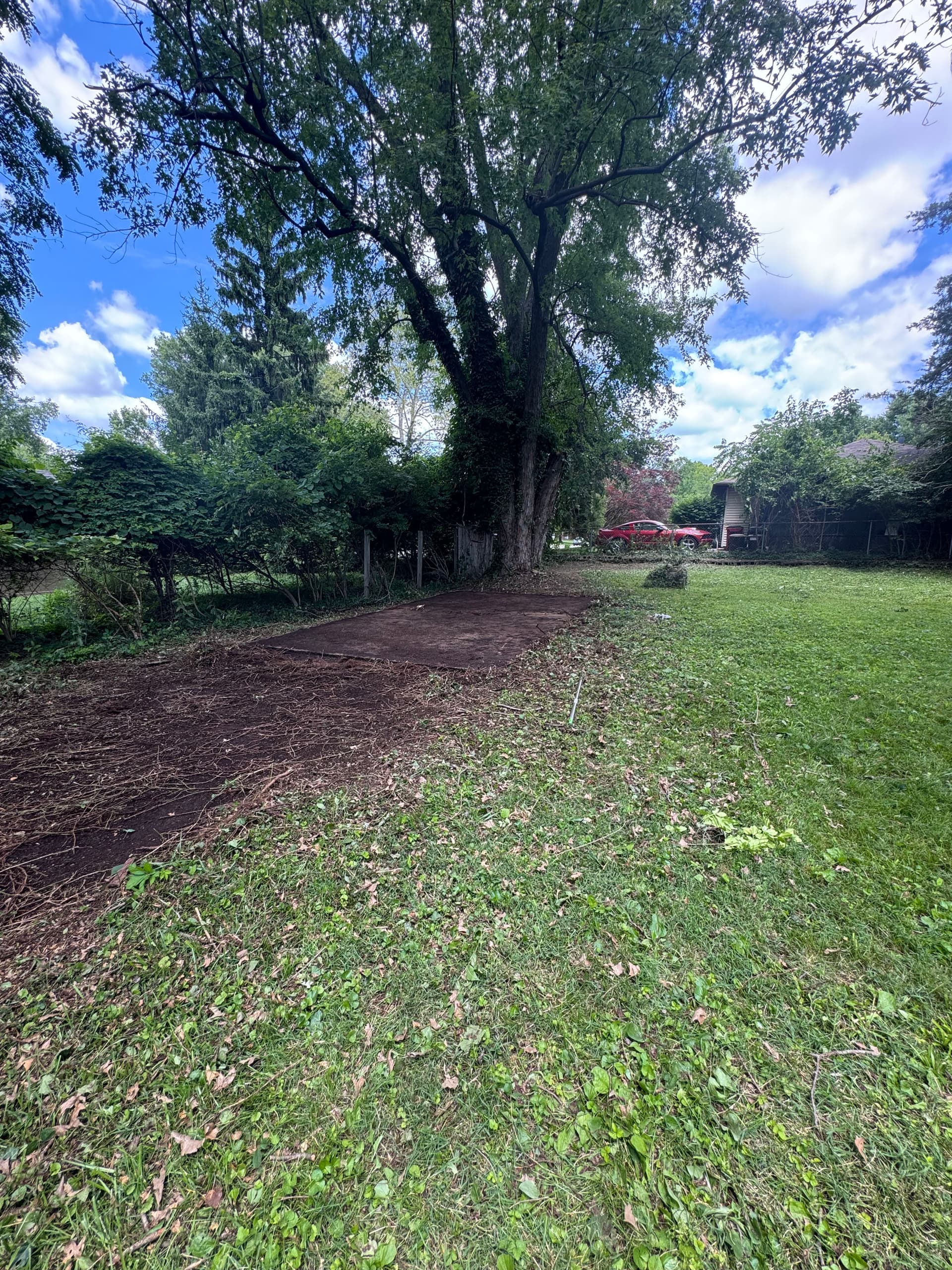 Gallery photos for Big Backyard Cleanup Turns an Overgrown Mess Into Open Space: Image #1