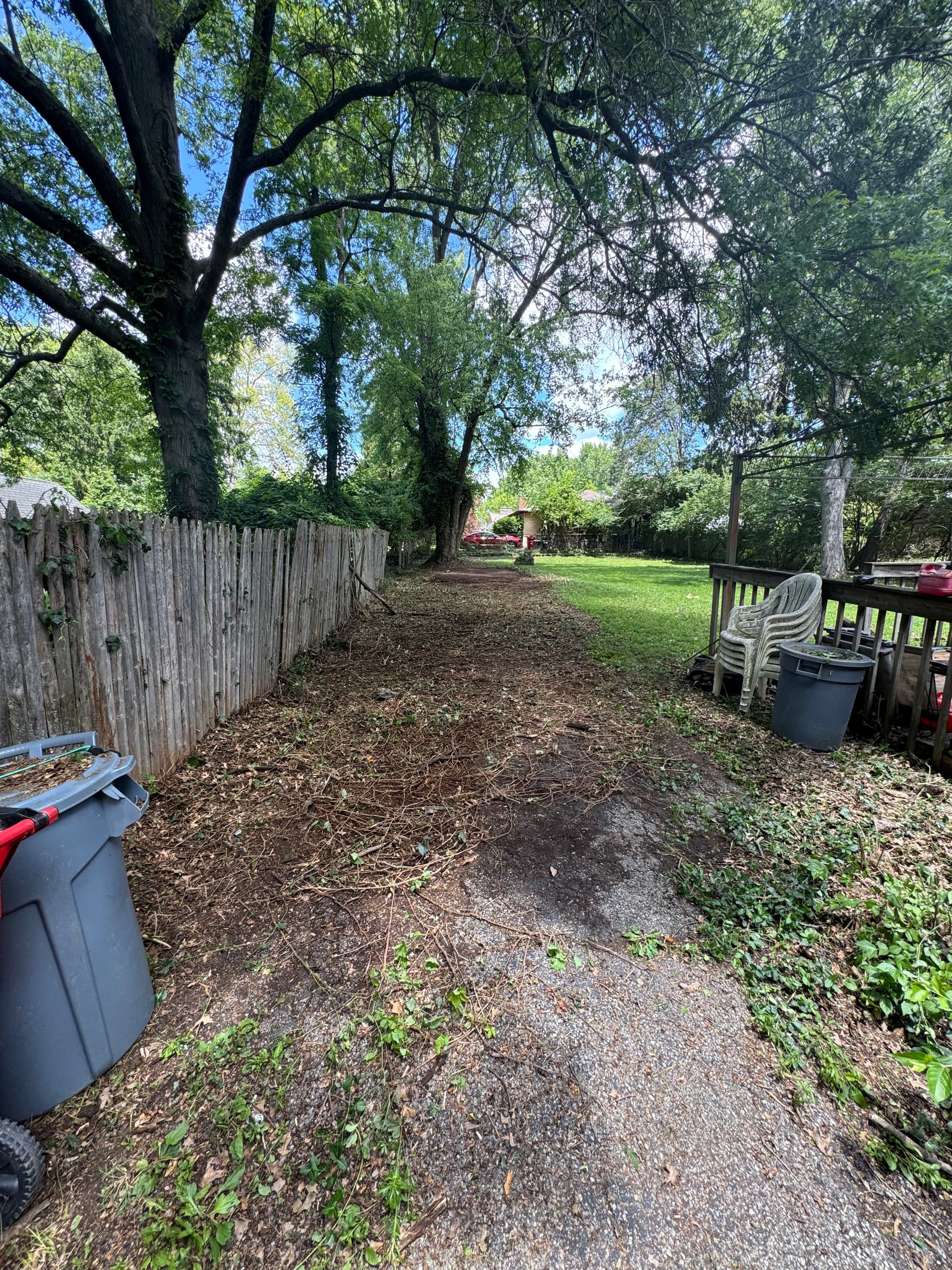 Gallery photos for Big Backyard Cleanup Turns an Overgrown Mess Into Open Space: Image #3