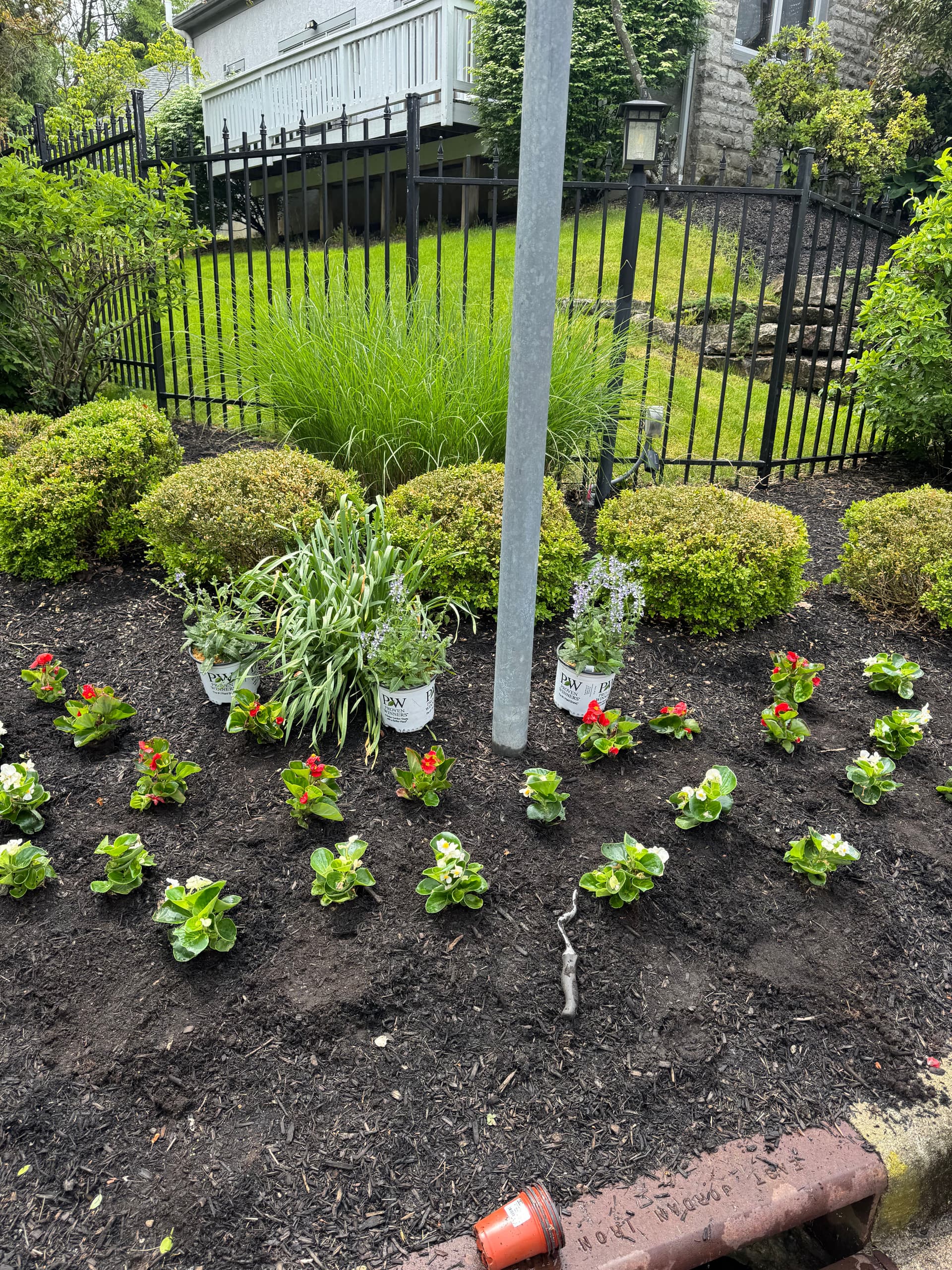 Gallery photos for Spring Annuals and Shrub Replacements at Katherine's Wood: Image #3