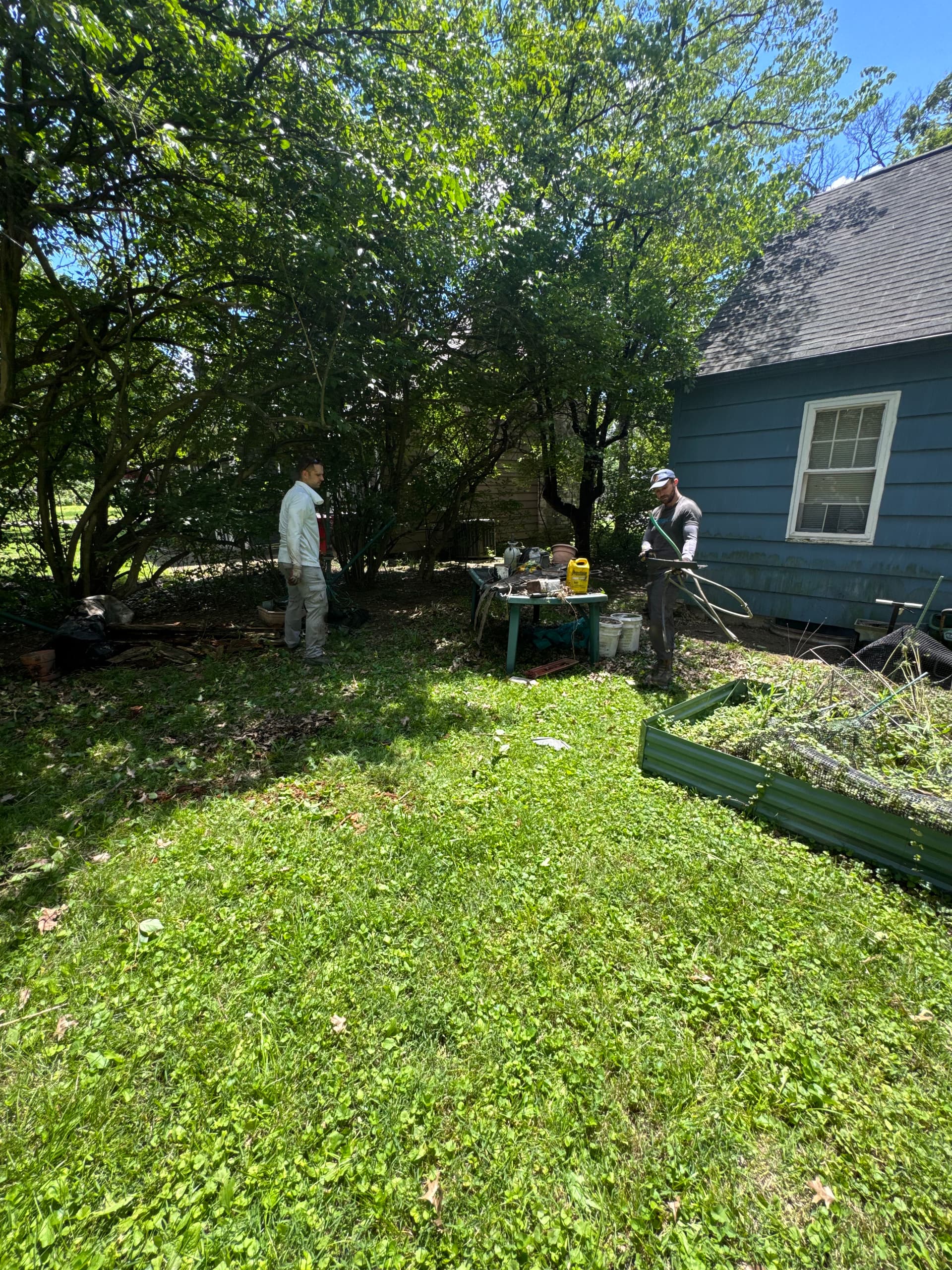 Gallery photos for Big Backyard Cleanup Turns an Overgrown Mess Into Open Space: Image #4