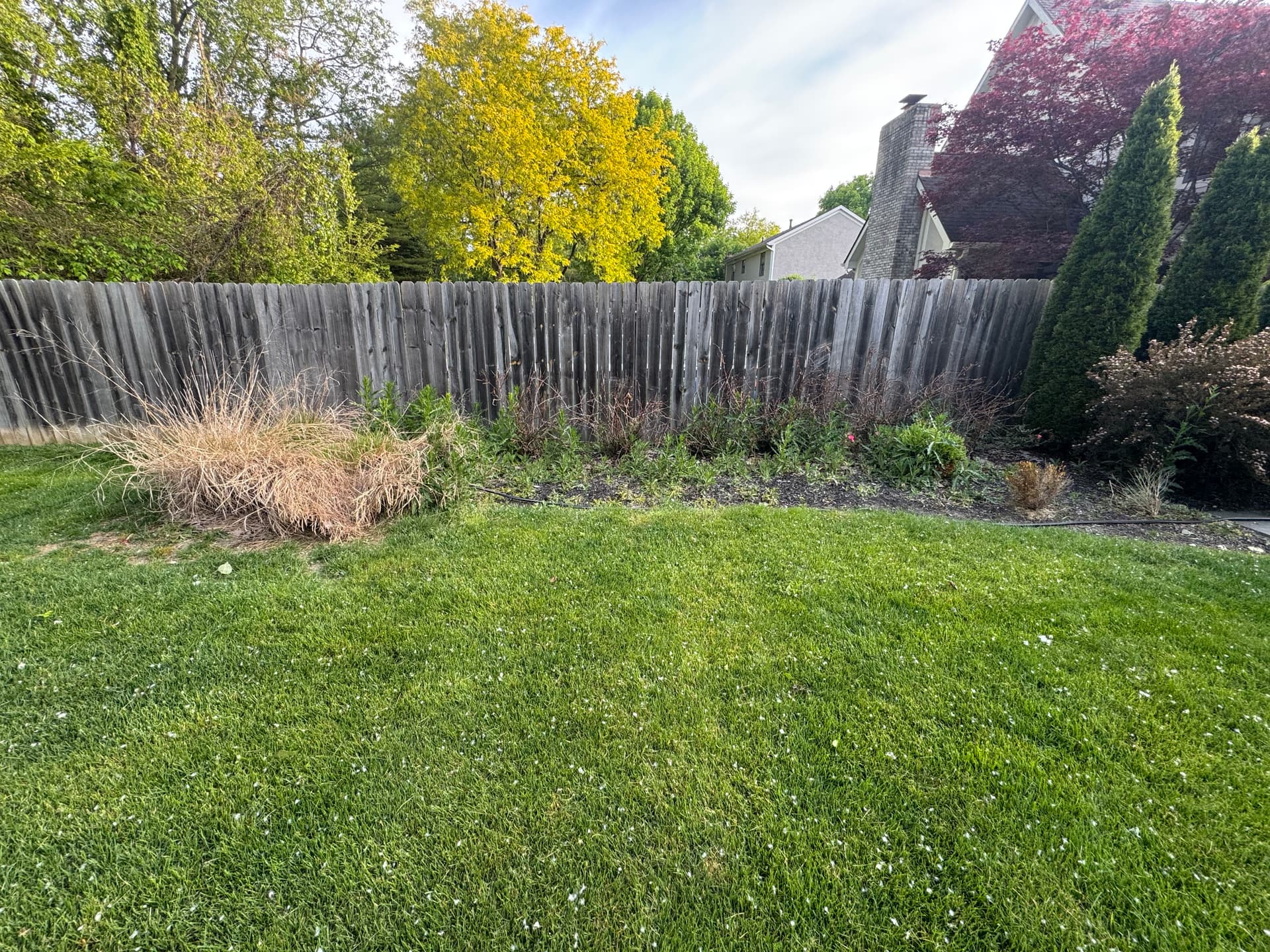 Gallery photos for Garden Bed Makeover in Worthington Ohio That Actually Pops: Image #1