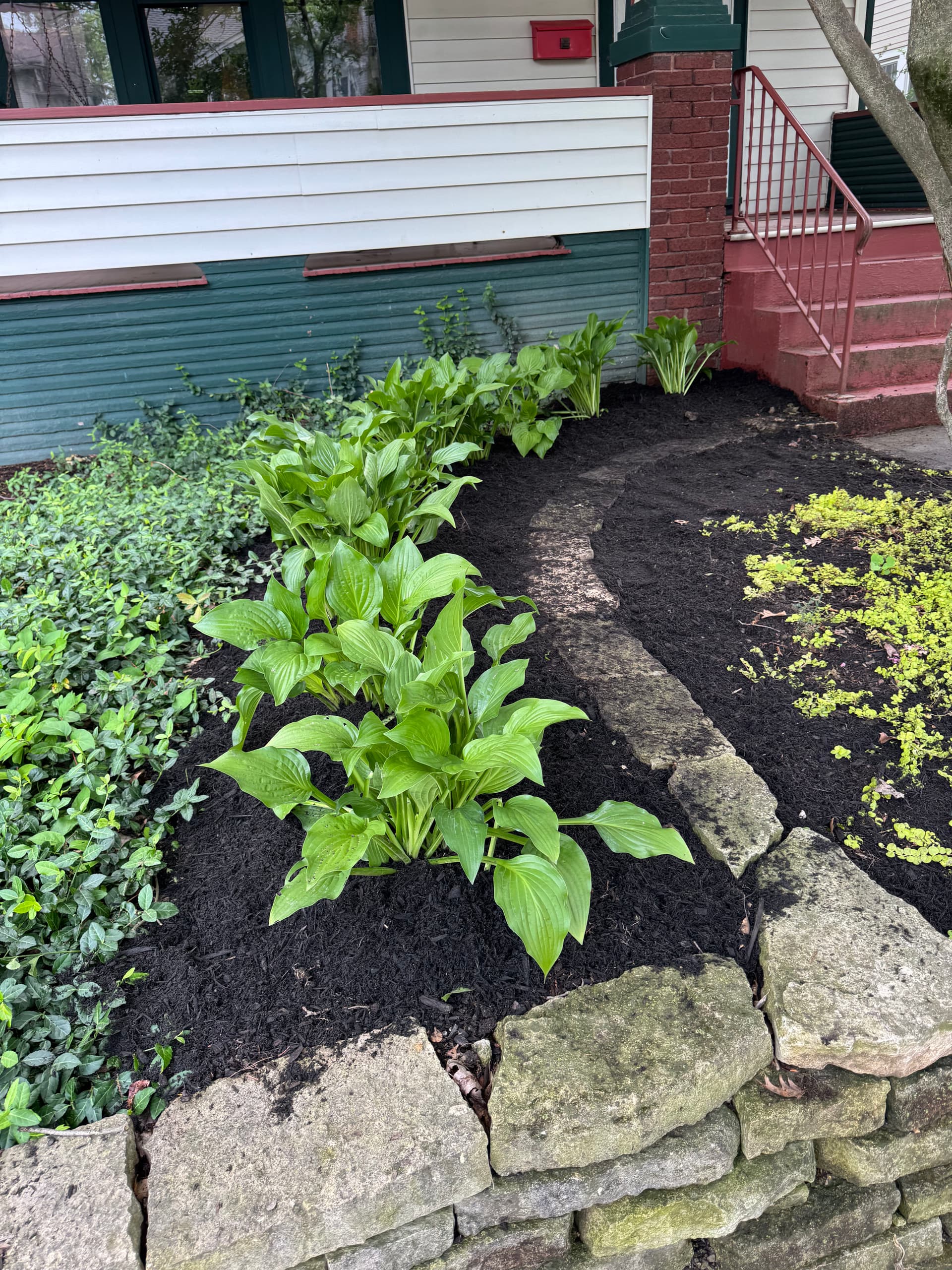 Gallery photos for Clintonville Backyard Garden Beds Rebuilt From Scratch: Image #4