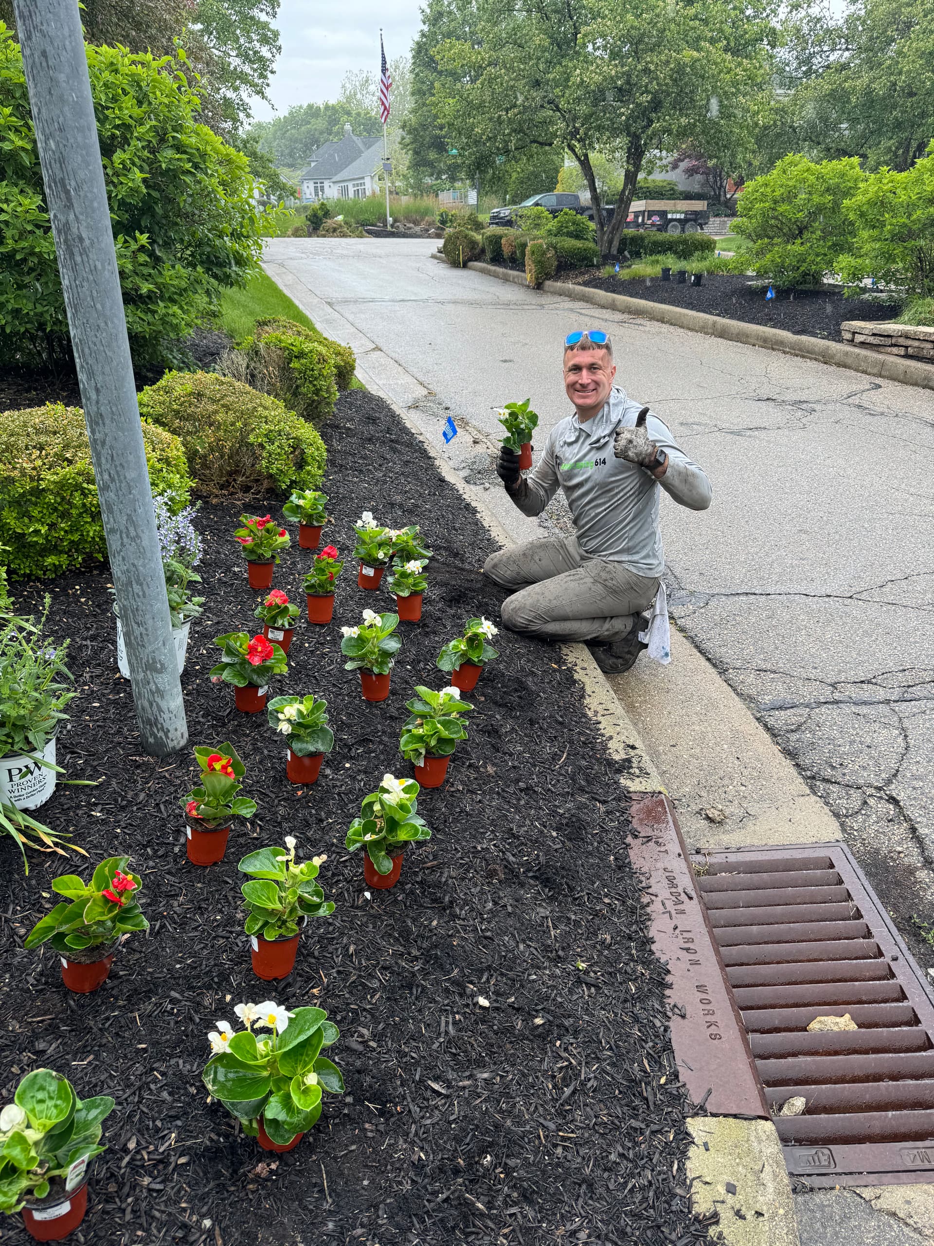 Spring Annuals and Shrub Replacements at Katherine's Wood image