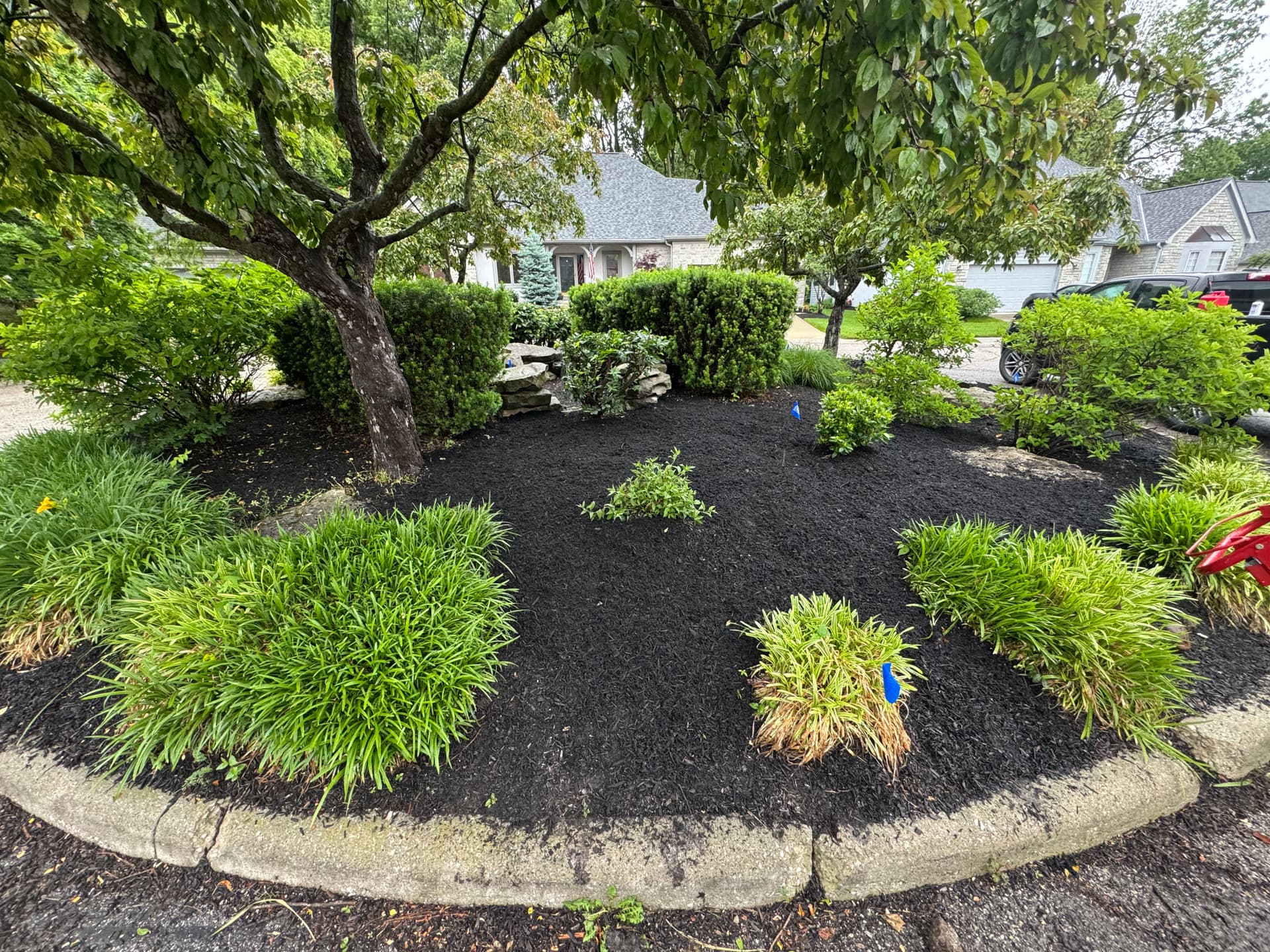 Gallery photos for Front Yard Island Bed Cleanup and Replant in Worthington: Image #3