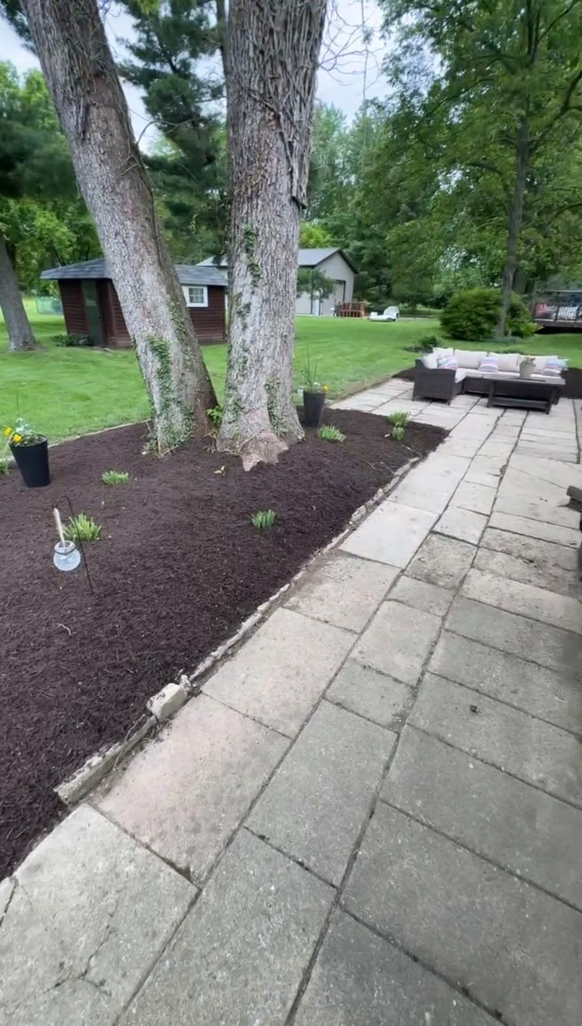 Gallery photos for Springtime Patio Refresh with Seasonal Cleanup: Image #4