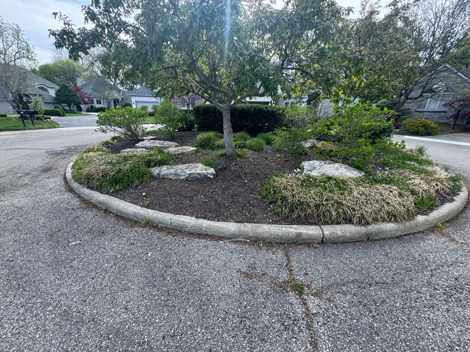 Front Yard Island Bed Cleanup and Replant in Worthington