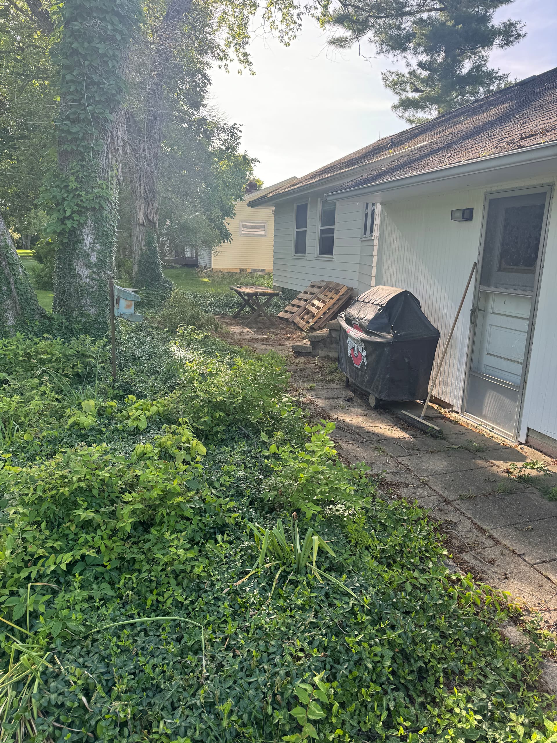 Gallery photos for Springtime Patio Refresh with Seasonal Cleanup: Image #1