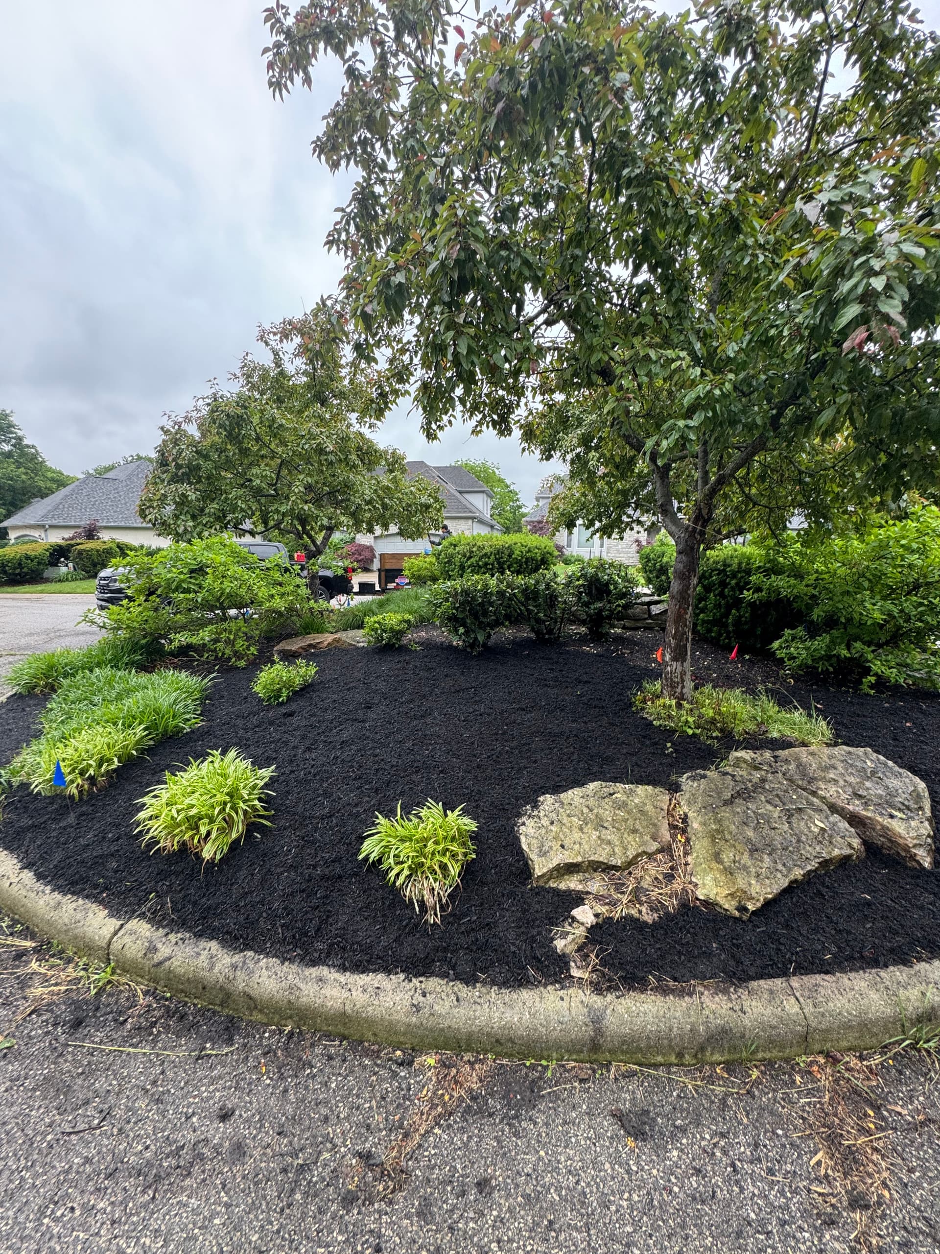 Front Yard Island Bed Cleanup and Replant in Worthington