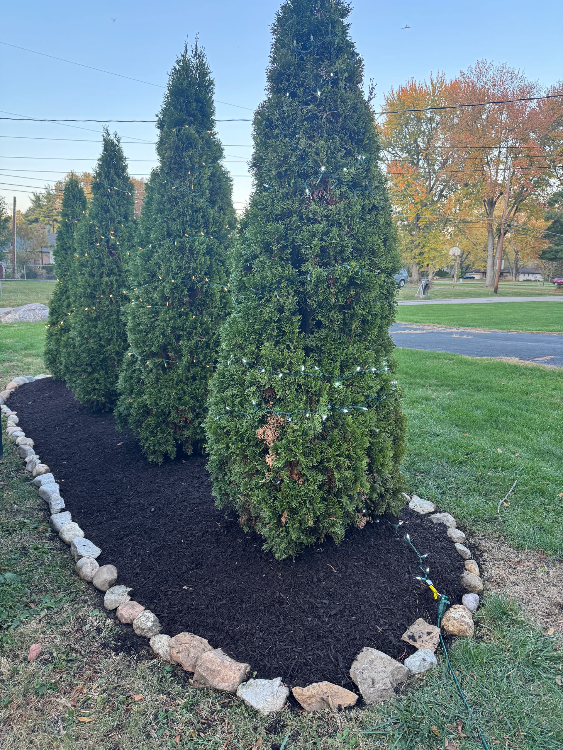 Arborvitae Feature Transformation to Enhance Curb Appeal