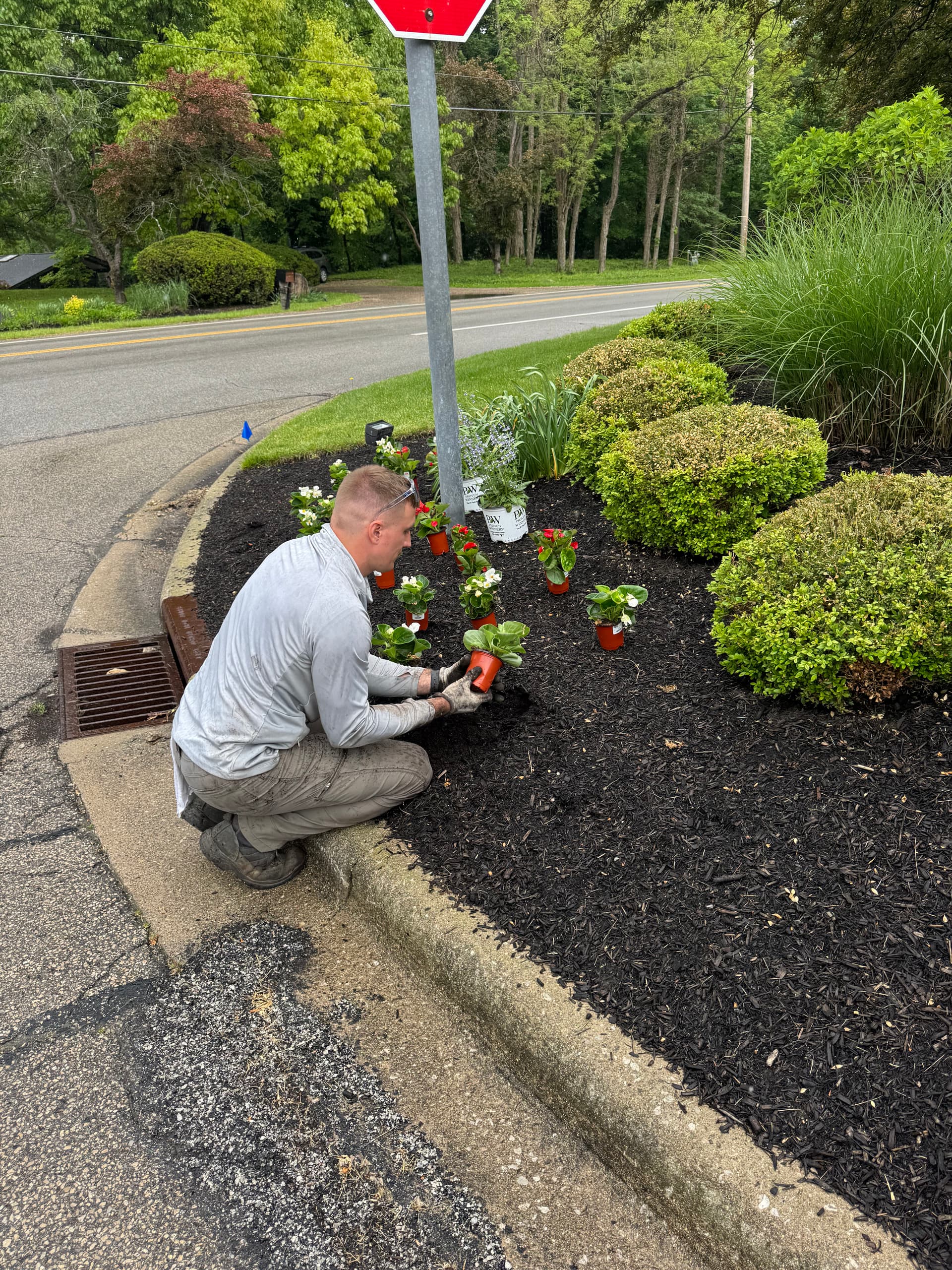 Gallery photos for Annual Planting Season Is in Full Swing and Spots Are Almost Gone: Image #3