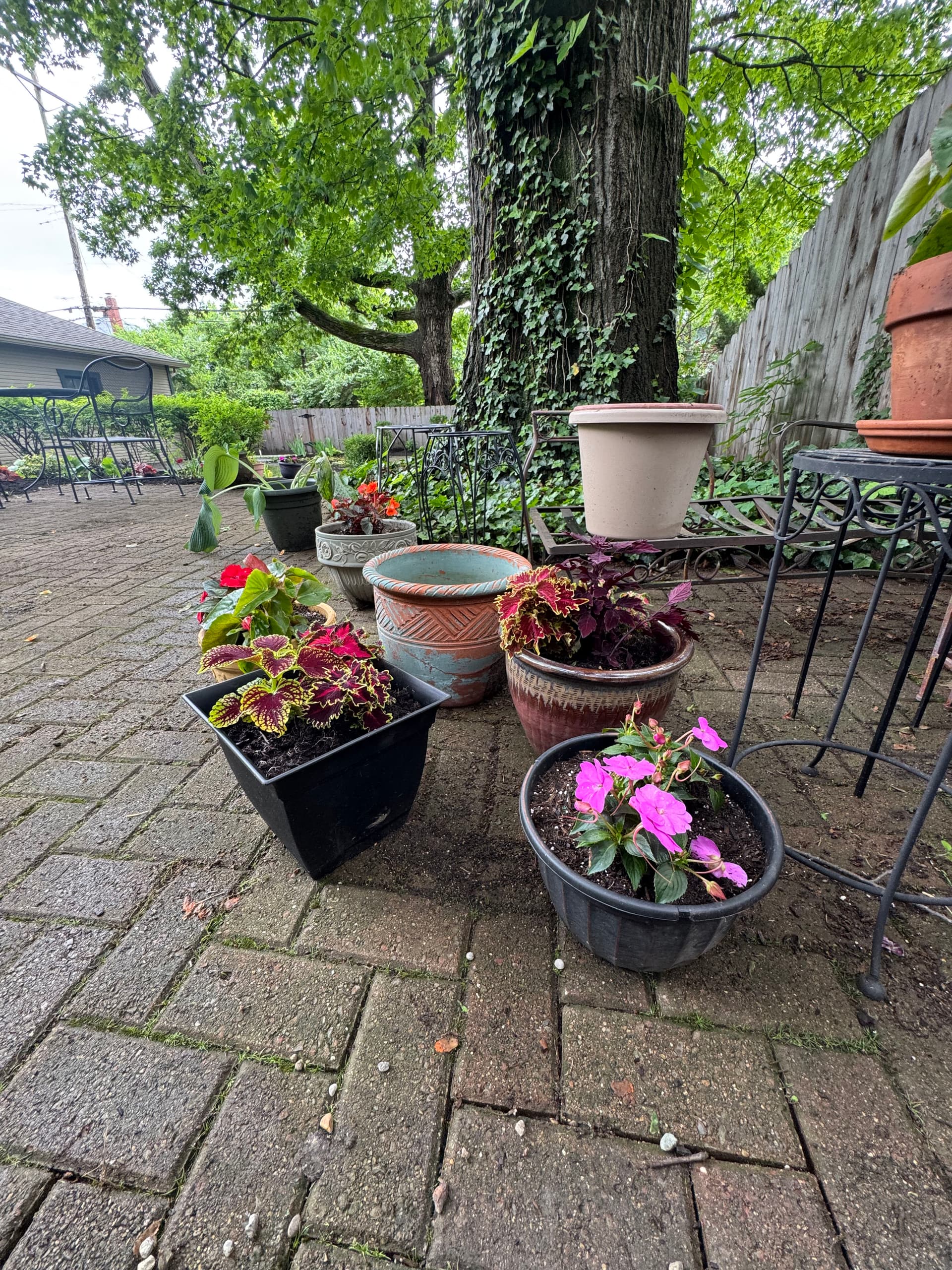 Gallery photos for Clintonville Backyard Garden Beds Rebuilt From Scratch: Image #8