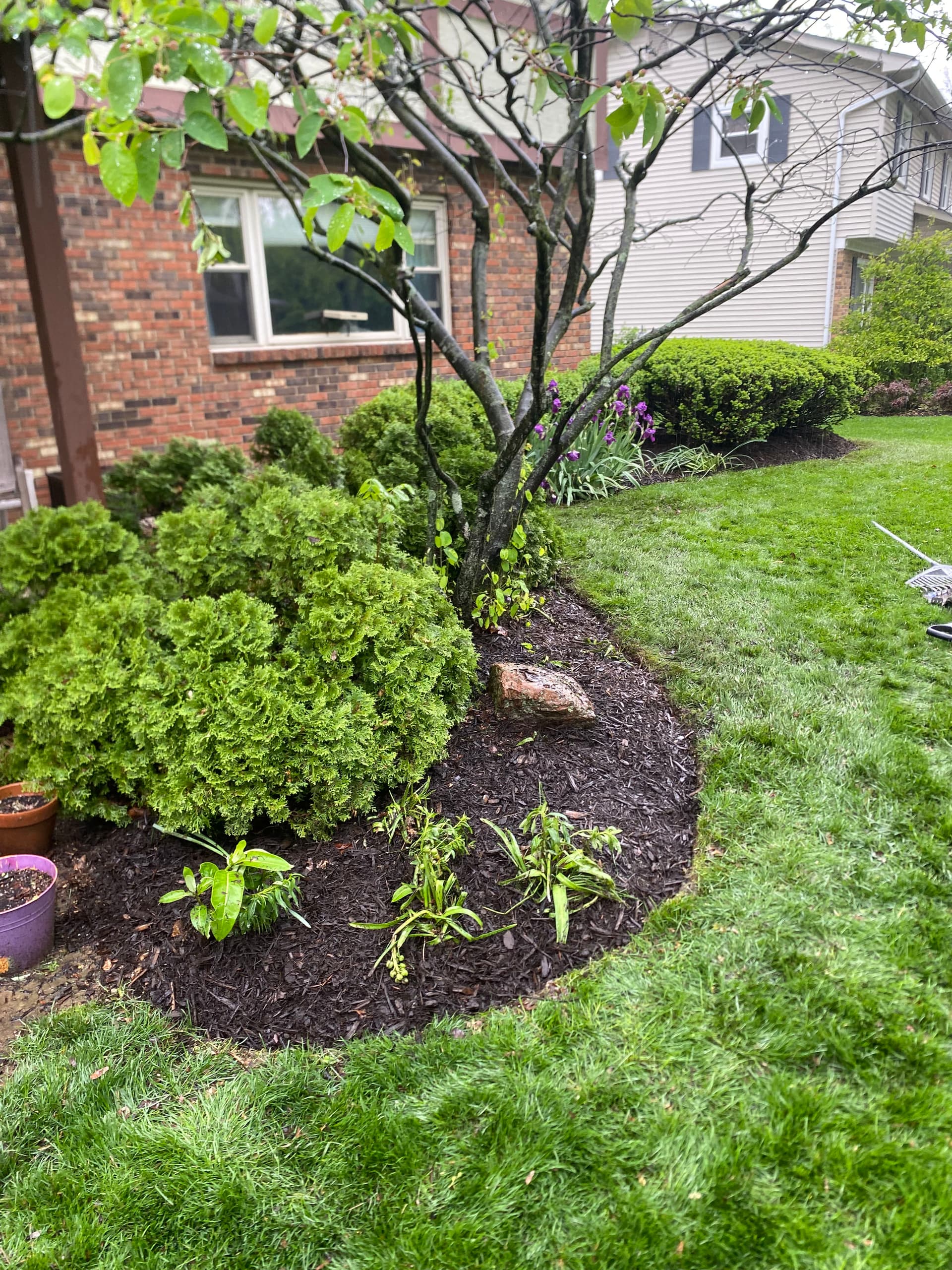 Gallery photos for Hedge Trimming, Bed Edging and Mulch Refresh in Worthington: Image #2