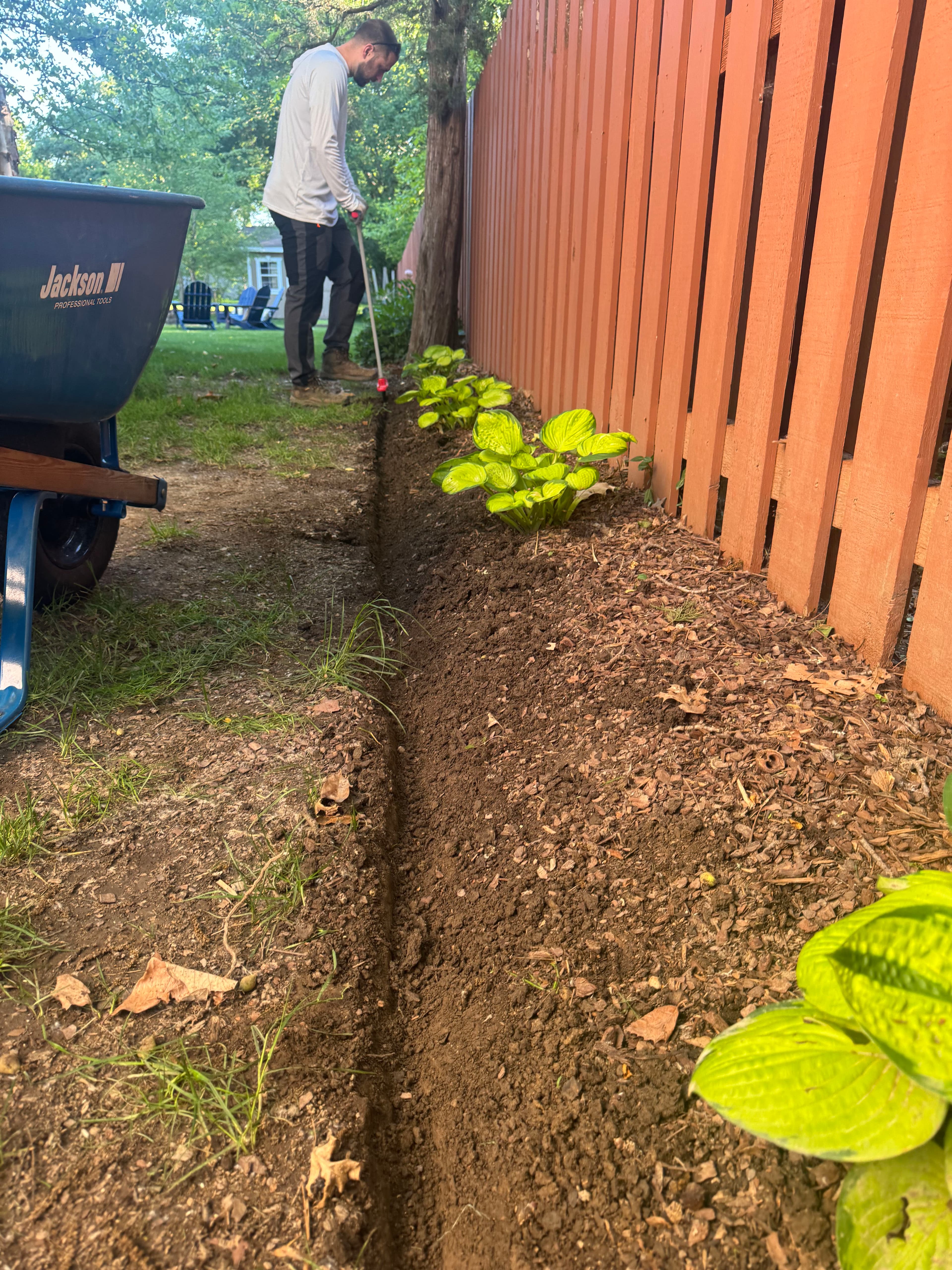 Project Clean Bed Lines and Fresh Mulch Make the Whole Yard Pop image