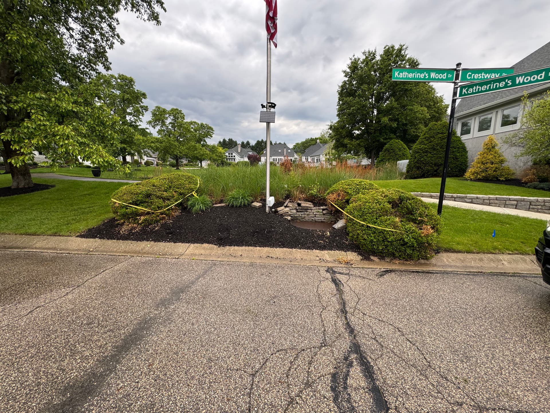 Swapping Overgrown Boxwoods for Dwarf Hinoki Cypress in Worthington