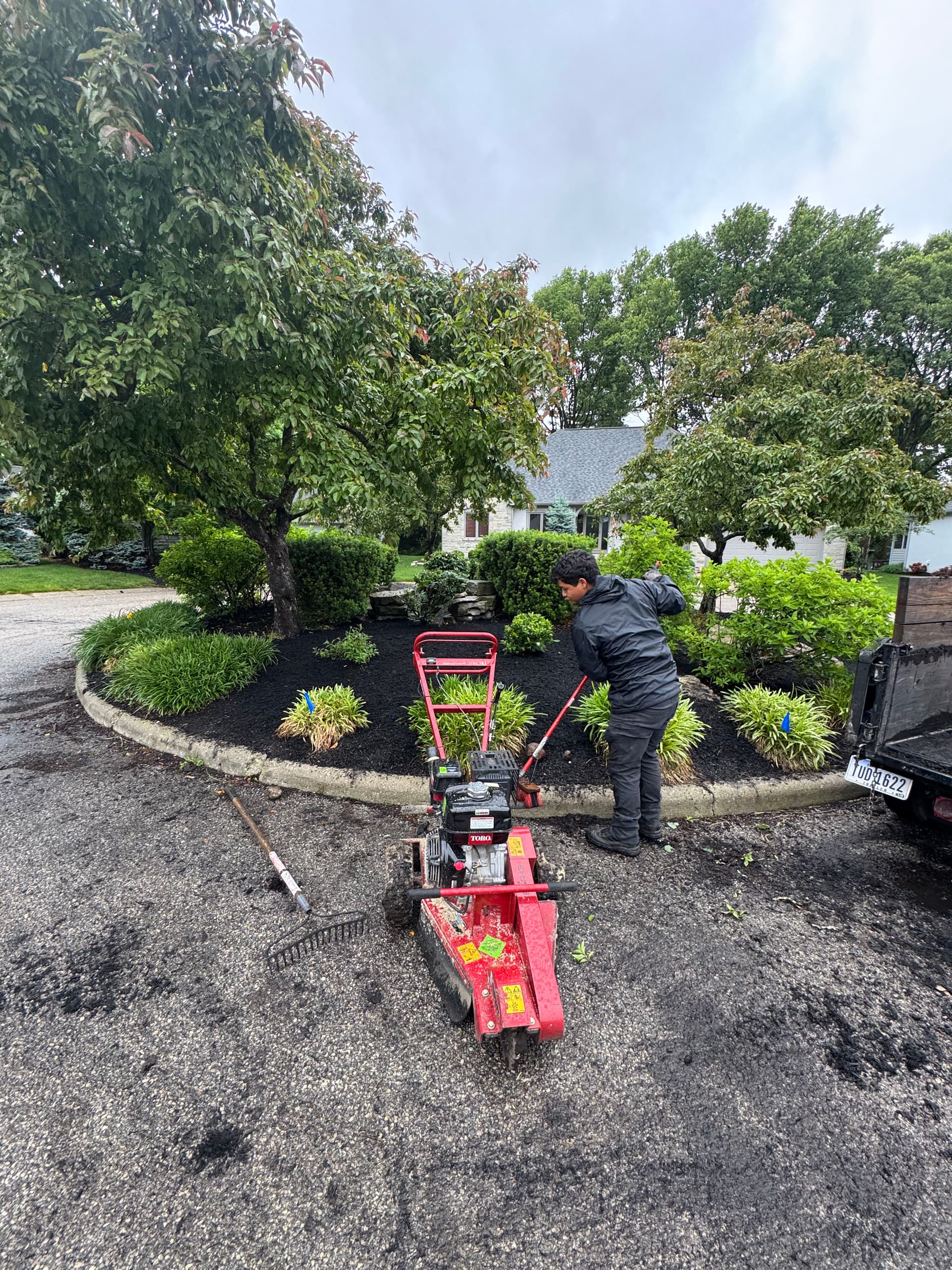Gallery photos for Front Yard Island Bed Cleanup and Replant in Worthington: Image #2