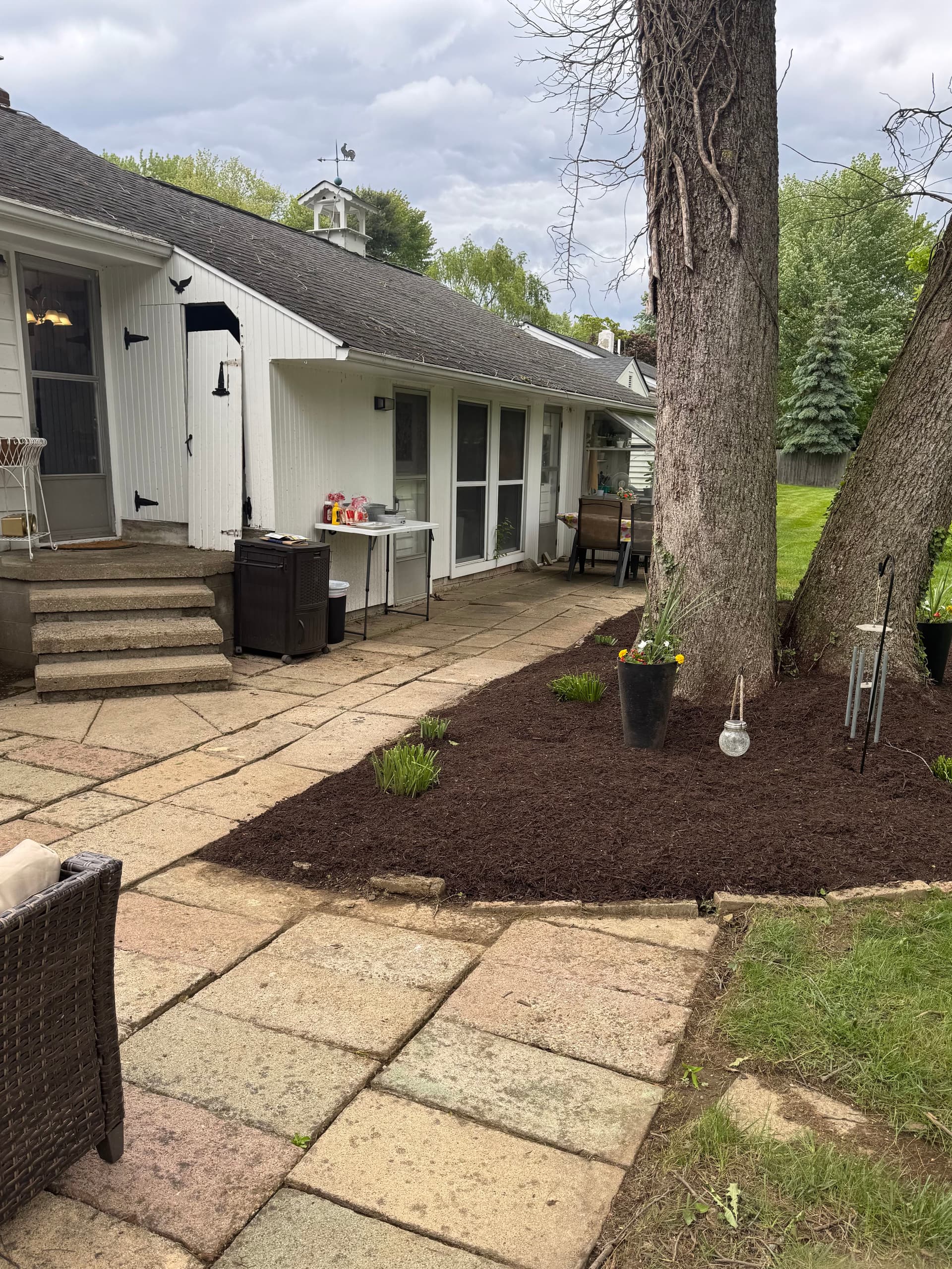 Gallery photos for Springtime Patio Refresh with Seasonal Cleanup: Image #2