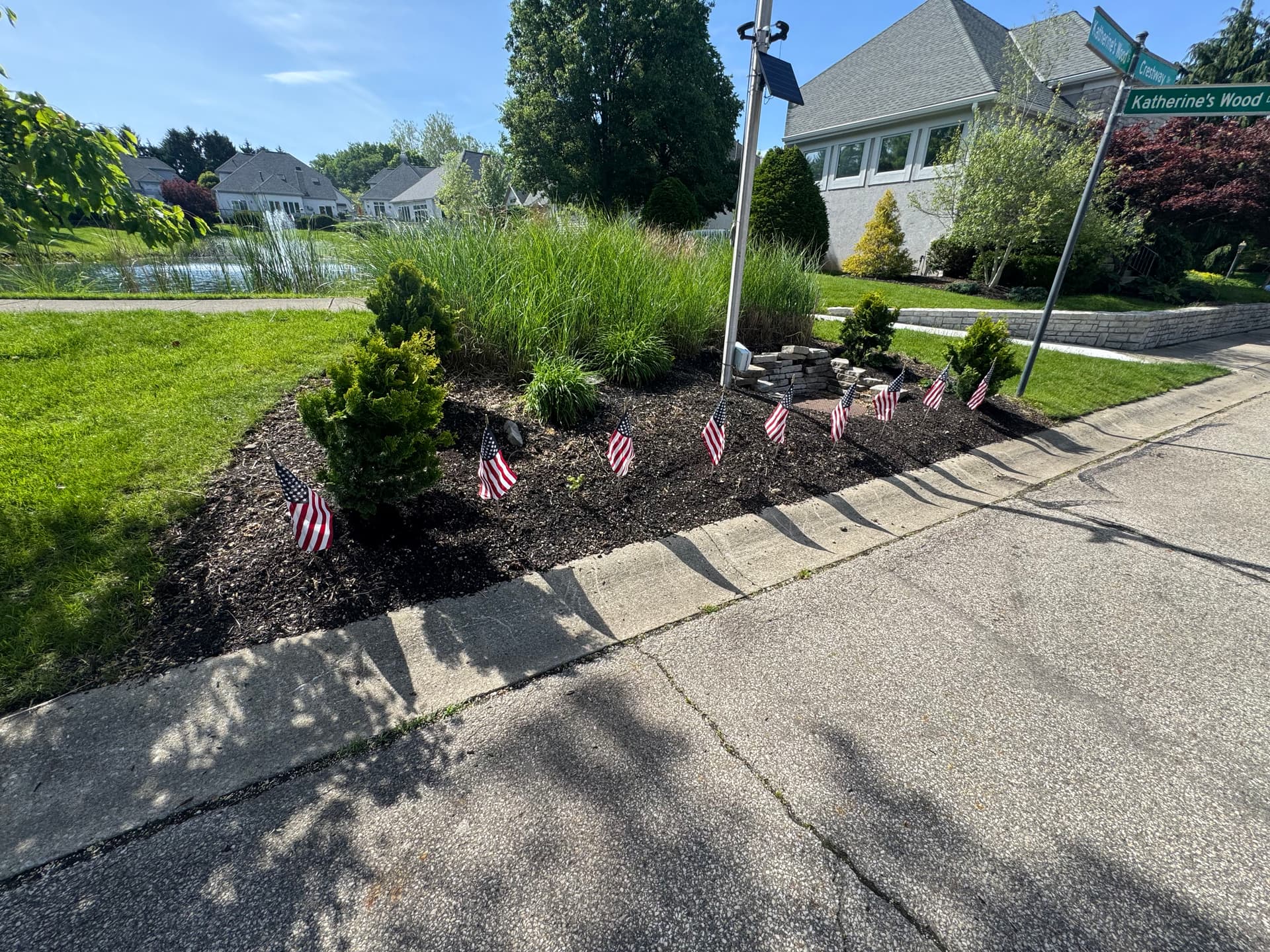 Swapping Overgrown Boxwoods for Dwarf Hinoki Cypress in Worthington