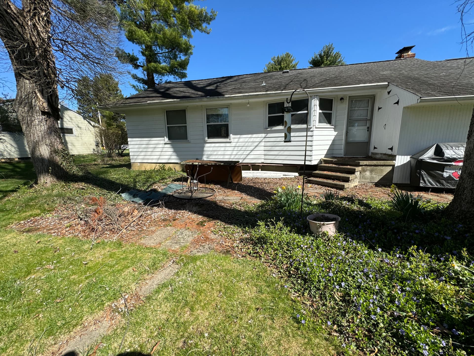 Gallery photos for Springtime Patio Refresh with Seasonal Cleanup: Image #3