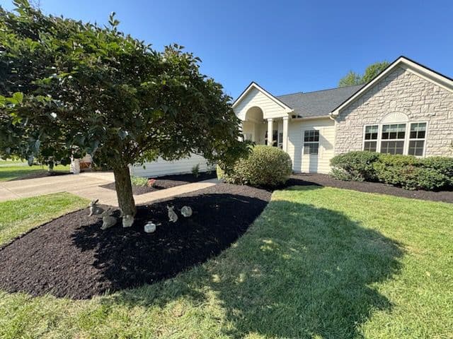 Jeanne's Landscape Turnaround with Fresh Plants and Mulch image