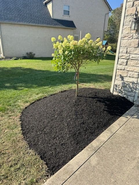 Gallery photos for Jeanne's Landscape Turnaround with Fresh Plants and Mulch: Image #2