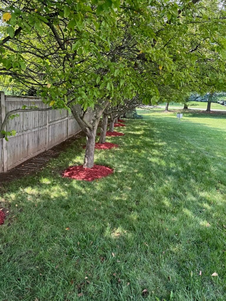 Vibrant Garden Bed Transformation in Worthington