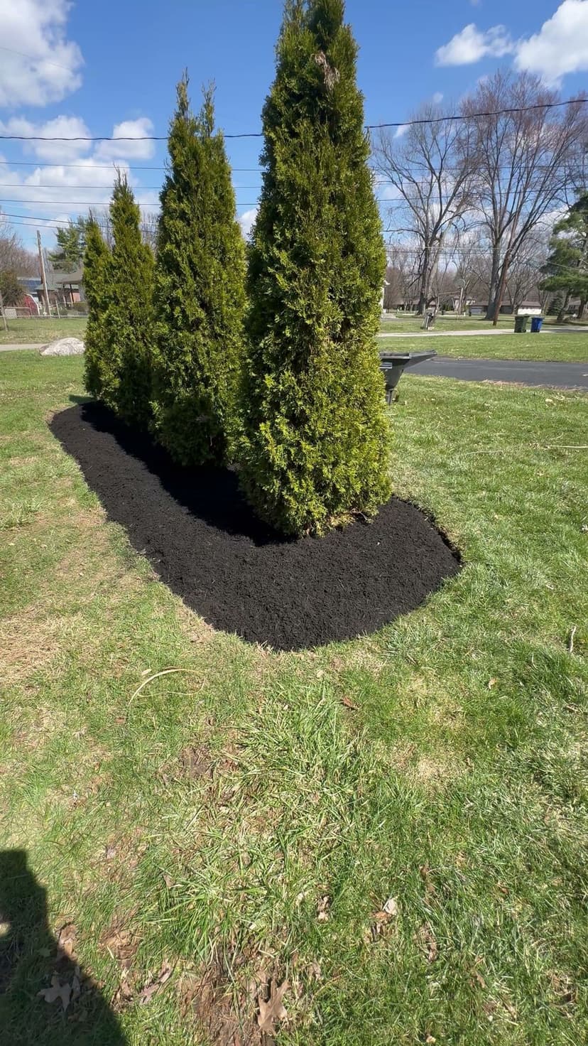 Innovative Landscaping Techniques's image