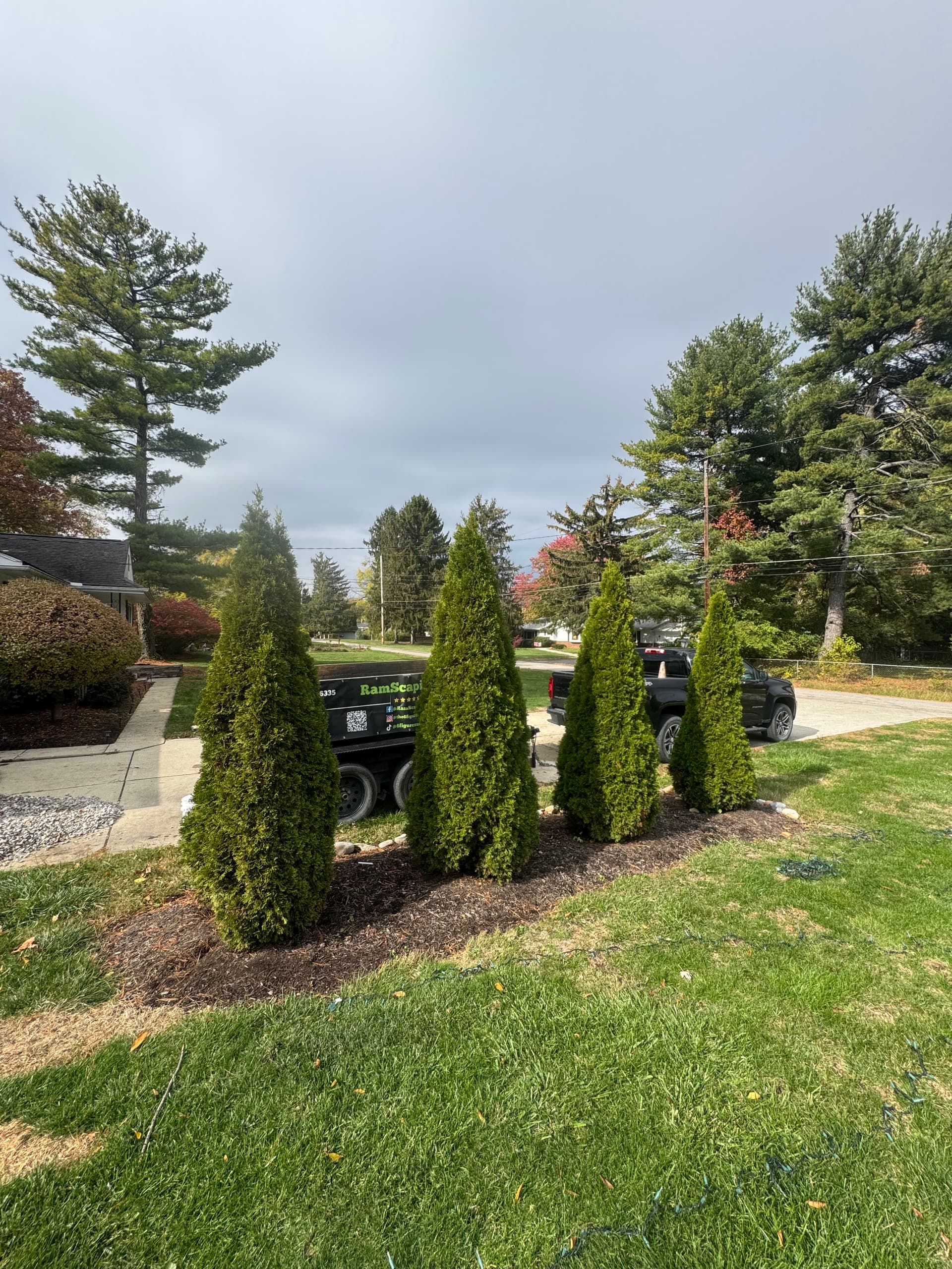Gallery photos for Arborvitae Feature Transformation to Enhance Curb Appeal: Image #4