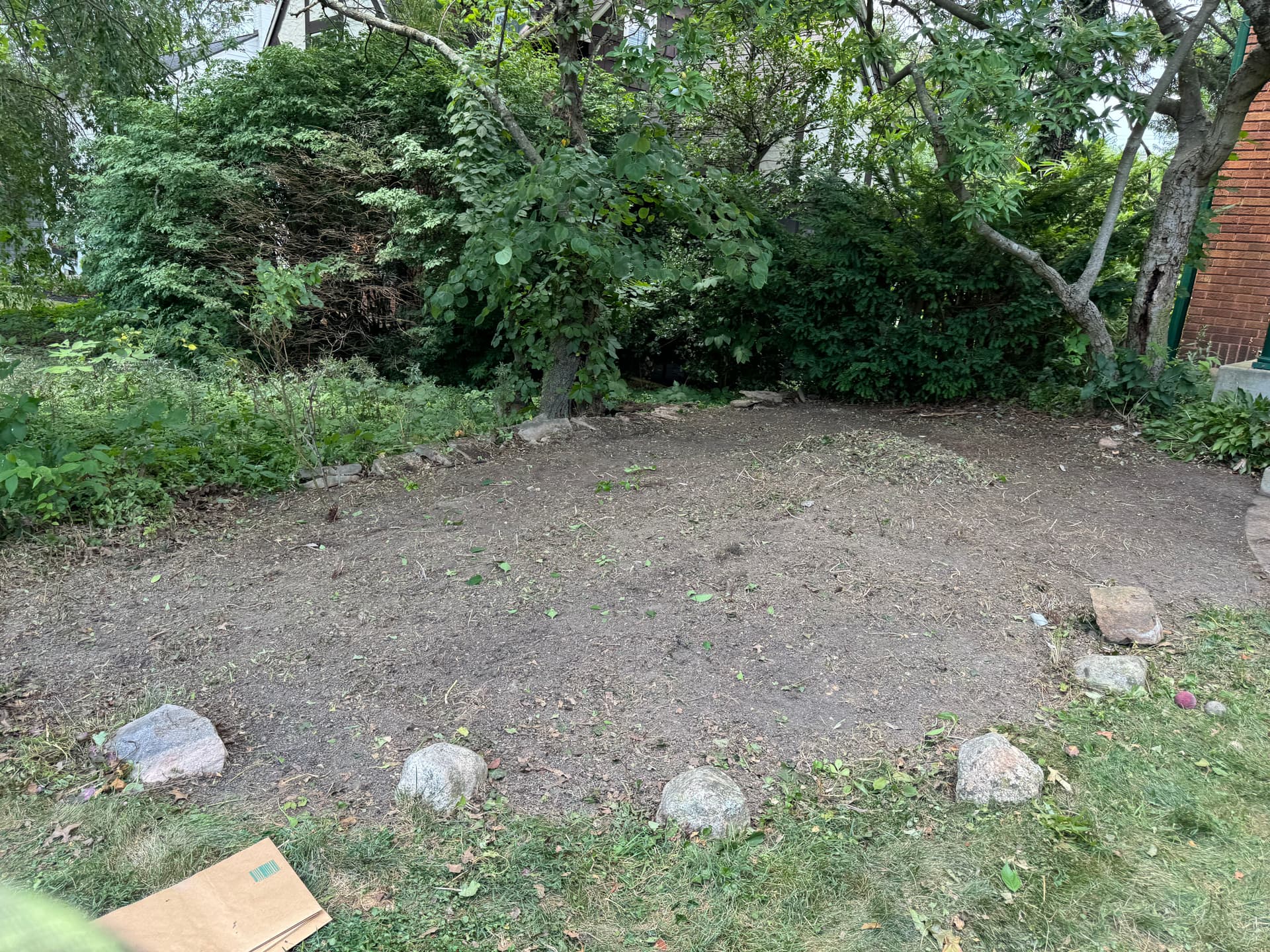 Gallery photos for Transforming an Overgrown Garden Bed: Image #1