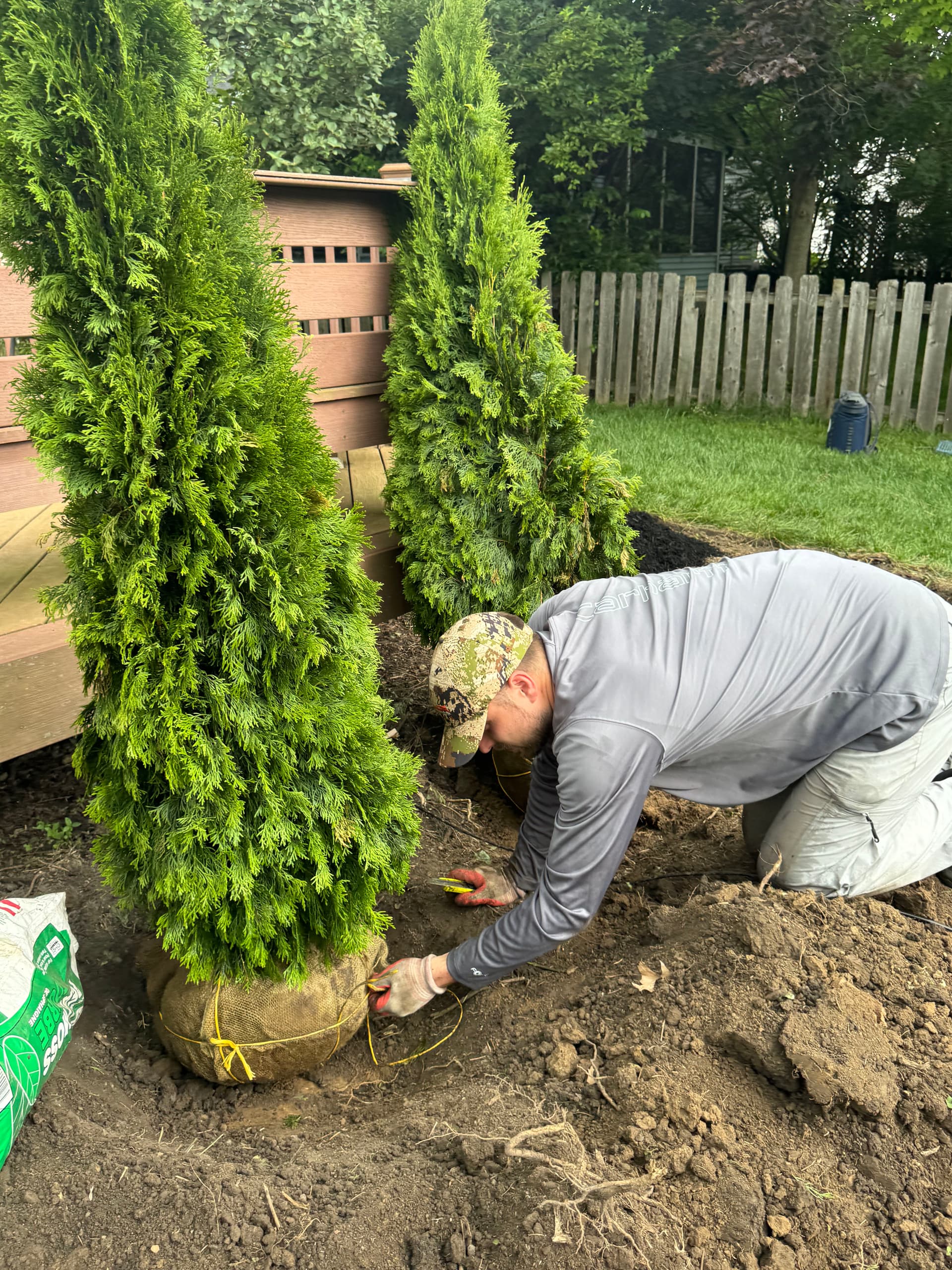 Gallery photos for Shrub Removal and Tree Planting Give This Yard Room to Breathe: Image #3