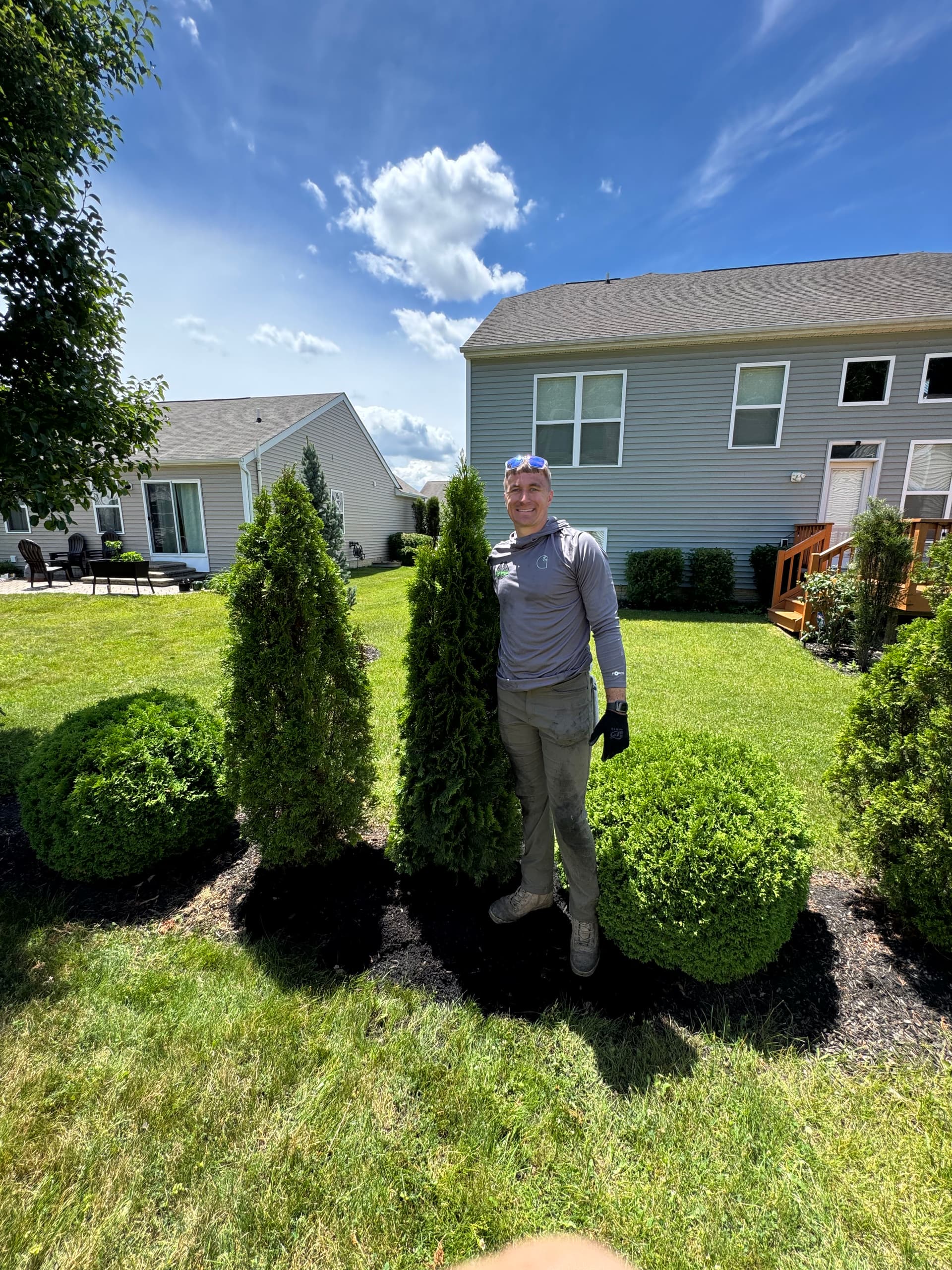 Why We Love Planting Trees and You Should Too image
