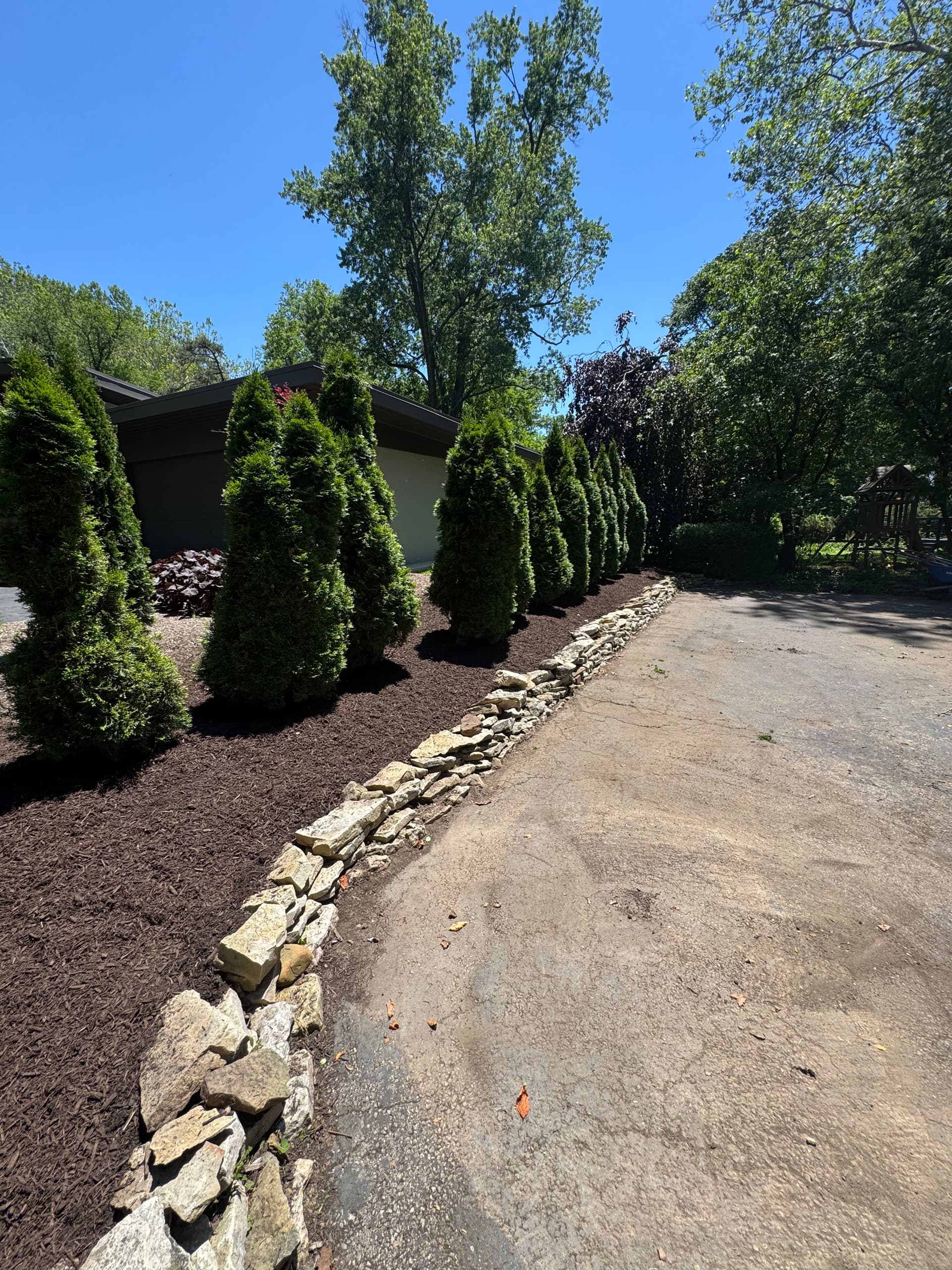 Gallery photos for Garden Bed Cleanup and Arborvitae Planting in Worthington: Image #3
