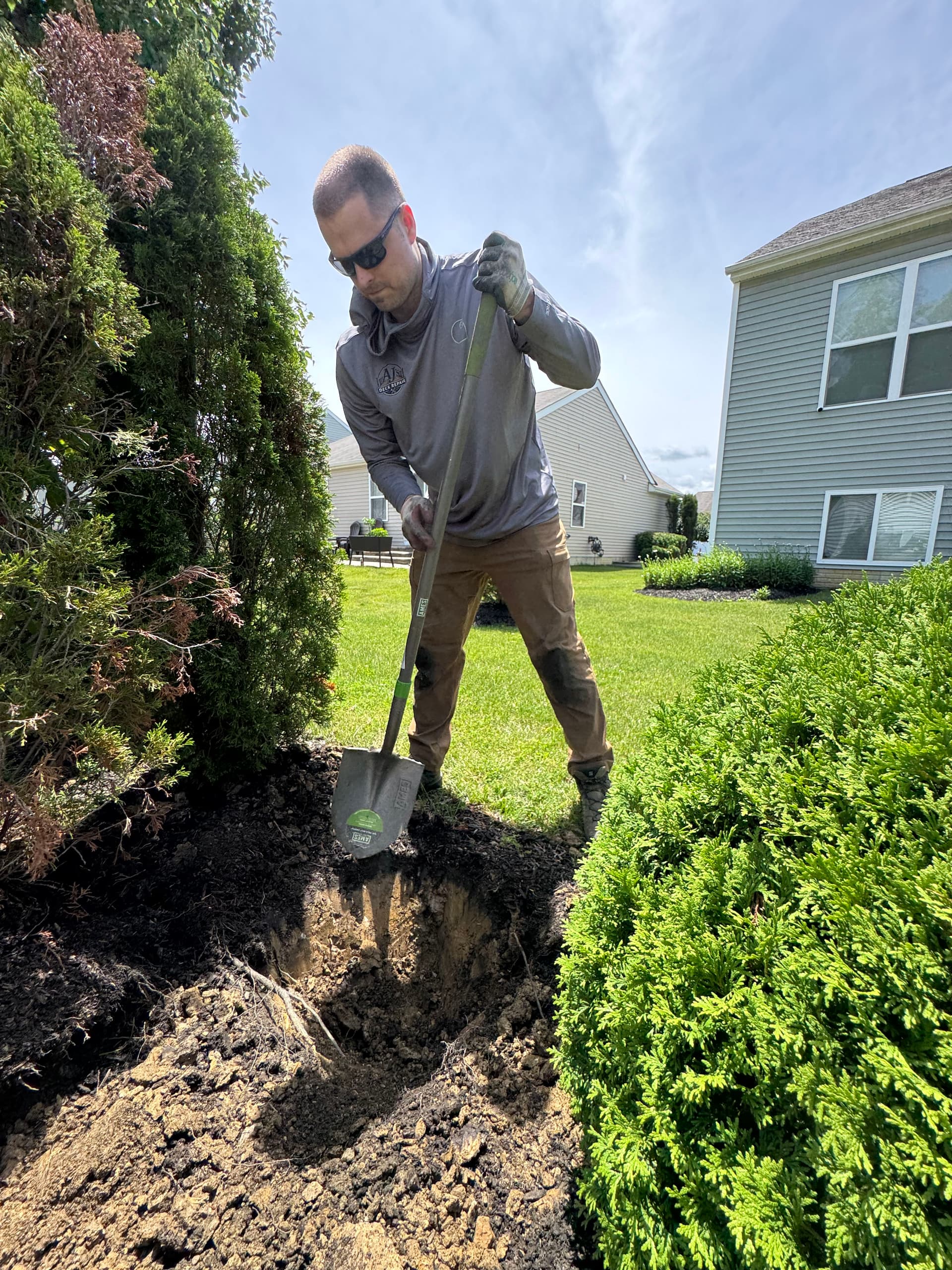 Gallery photos for Why We Love Planting Trees and You Should Too: Image #1
