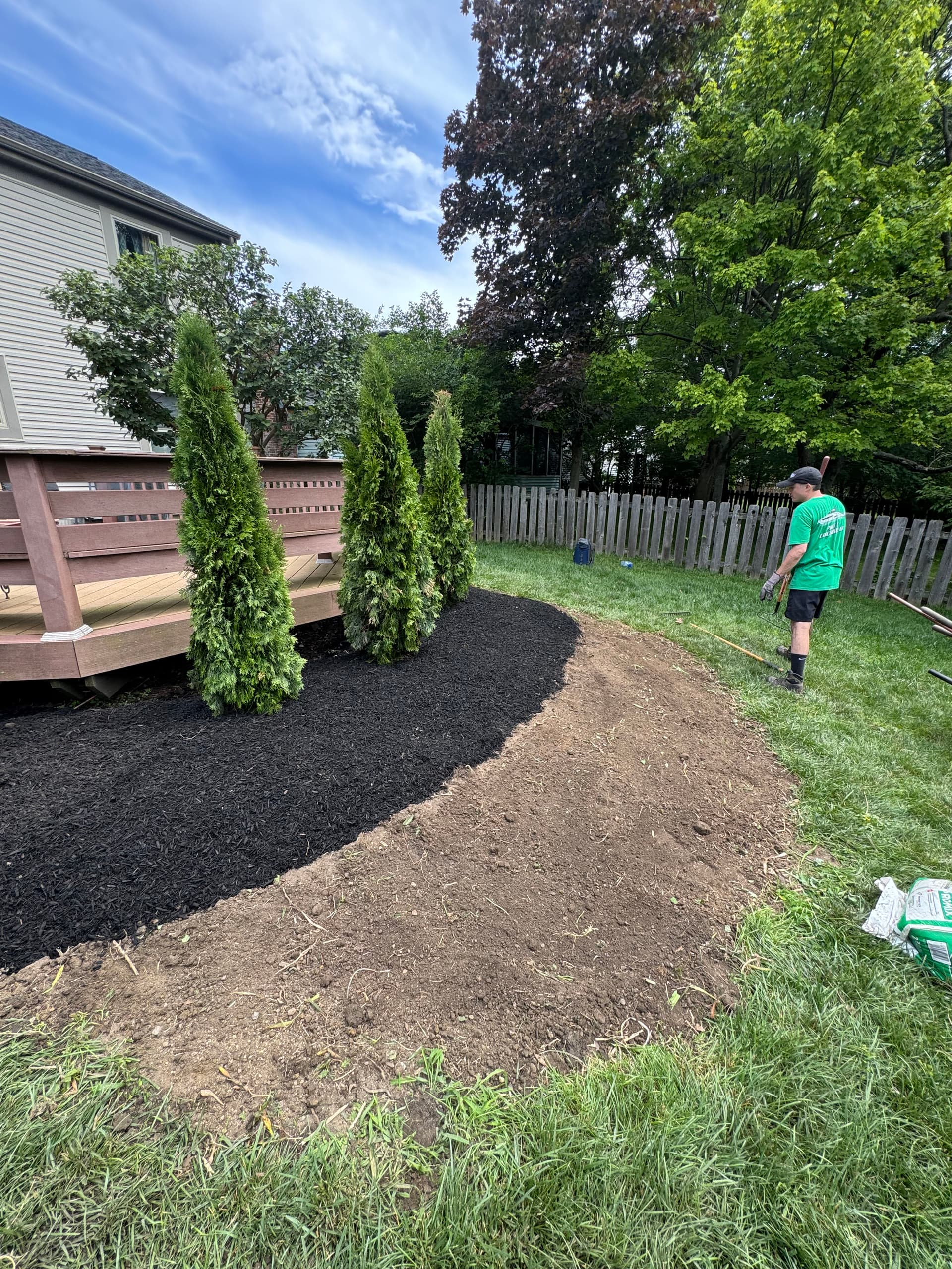 Gallery photos for Shrub Removal and Tree Planting Give This Yard Room to Breathe: Image #1
